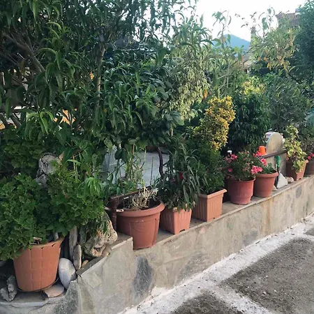 Mitsani Holiday home