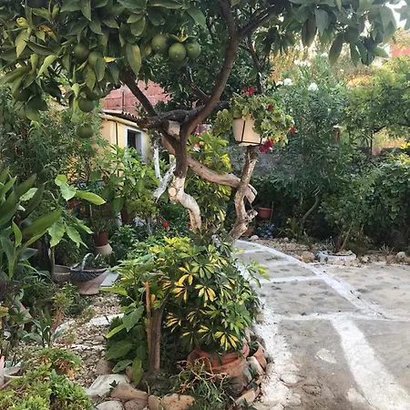 Mitsani * Ágios Matthaíos